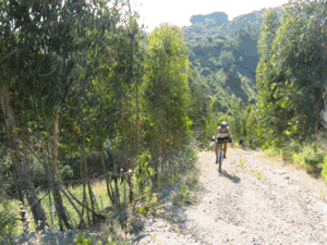 ciclistas fazendo a ltima subia para saira do vale da Cabrela