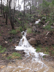 diversas cascatas devido � chuvada na serra de sintra