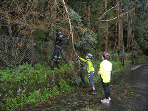 fotos diversas dos ciclistas a removerem uma �rvore ca�da na estrada