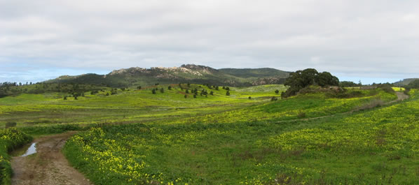 vista do prado verde e amarelo com a serra ao fundo
