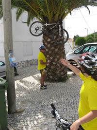 a bicicleta do nosso amigo helder pendurada numa palmeira